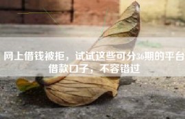 网上借钱被拒，试试这些可分36期的平台借款口子，不容错过