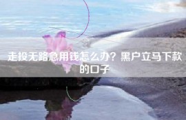 走投无路急用钱怎么办？黑户立马下款的口子