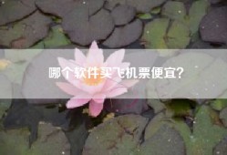 哪个软件买飞机票便宜？