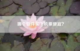 哪个软件买飞机票便宜？