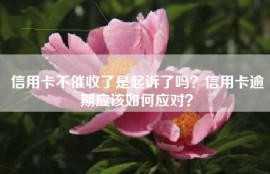 信用卡不催收了是起诉了吗？信用卡逾期应该如何应对？