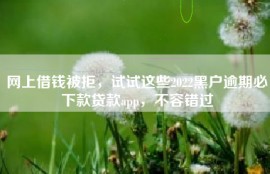 网上借钱被拒，试试这些2022黑户逾期必下款贷款app，不容错过