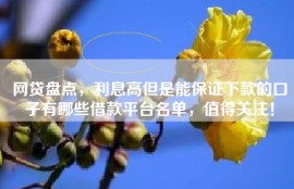 网贷盘点，利息高但是能保证下款的口子有哪些借款平台名单，值得关注！