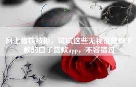 网上借钱被拒，试试这些无视征信秒下款的口子贷款app，不容错过