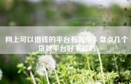 网上可以借钱的平台有哪些？盘点几个贷款平台好下款的