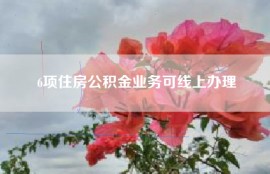 6项住房公积金业务可线上办理