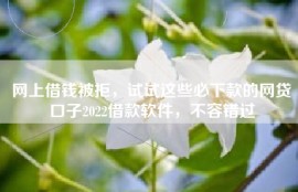 网上借钱被拒，试试这些必下款的网贷口子2022借款软件，不容错过