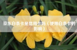 京东白条卡是信用卡吗（使用白条卡的影响）