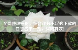 全网整理一份，综合评分不足必下款的口子名单一览，实测有效！