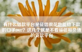 有什么借款平台是征信很花也能稳下款的口子2022？这几个就是不看征信和负债的贷款平台