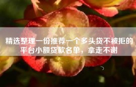 精选整理一份推荐一个多头贷不被拒的平台小额贷款名单，拿走不谢