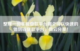 整理一份手机借款平台哪个可以快速的借到钱贷款平台，简云分享！