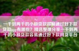 一千到两千的小额贷款容易通过好下款贷款app有哪些？精选整理分享一千到两千的小额贷款容易通过好下款网贷平台