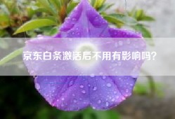 京东白条激活后不用有影响吗？