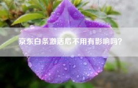 京东白条激活后不用有影响吗？