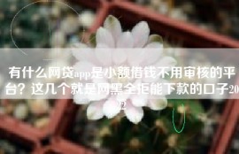 有什么网贷app是小额借钱不用审核的平台？这几个就是网黑全拒能下款的口子2022