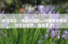 网贷盘点，借钱秒到账app不需要审核贷款平台名单，值得关注！