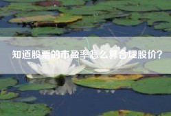 知道股票的市盈率怎么算合理股价？