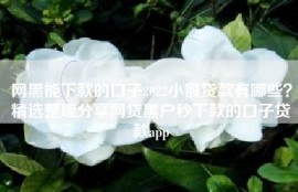 网黑能下款的口子2022小额贷款有哪些？精选整理分享网贷黑户秒下款的口子贷款app