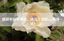 借款平台有哪些，这几个贷款app值得一试！