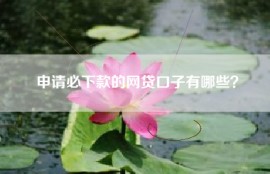 申请必下款的网贷口子有哪些？