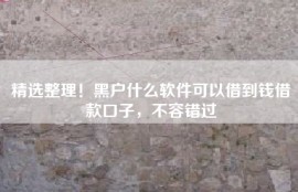 精选整理！黑户什么软件可以借到钱借款口子，不容错过