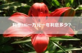 利率3.85一万元一年利息多少？
