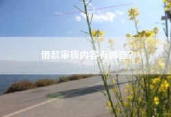 借款审核内容有哪些？