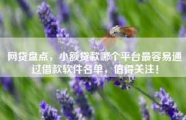 网贷盘点，小额贷款哪个平台最容易通过借款软件名单，值得关注！