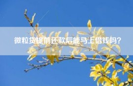 微粒贷提前还款后能马上借钱吗？
