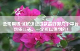 急需用钱,试试这些贷款最好哪几个平台网贷口子，一定可以借到的！