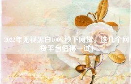 2022年无视黑白100%秒下网贷，这几个网贷平台值得一试！