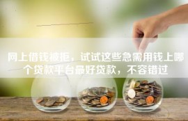 网上借钱被拒，试试这些急需用钱上哪个贷款平台最好贷款，不容错过