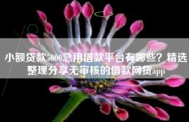 小额贷款5000急用借款平台有哪些？精选整理分享无审核的借款网贷app