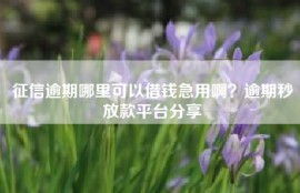 征信逾期哪里可以借钱急用啊？逾期秒放款平台分享