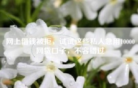 网上借钱被拒，试试这些私人急用10000网贷口子，不容错过