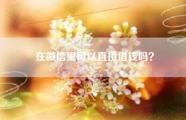 在微信里可以直接借钱吗？