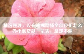 精选整理，没有逾期网贷全部秒拒怎么办小额贷款一览表，拿走不谢