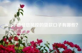 2022不看征信风控的贷款口子有哪些？