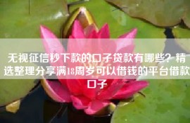 无视征信秒下款的口子贷款有哪些？精选整理分享满18周岁可以借钱的平台借款口子