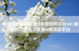 有什么小额贷款是18岁借钱的平台100%能借到？这几个就是60期贷款平台