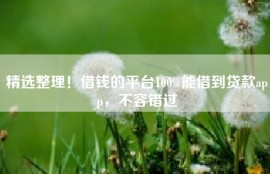 精选整理！借钱的平台100%能借到贷款app，不容错过