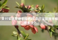 支付宝提现要手续费吗 支付宝提现手续费多少？