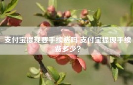 支付宝提现要手续费吗 支付宝提现手续费多少？