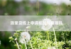浙里贷线上申请柜员码要填吗