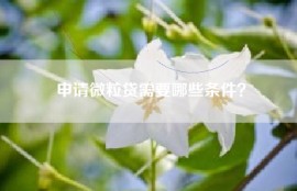 申请微粒贷需要哪些条件？