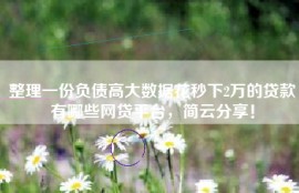 整理一份负债高大数据花秒下2万的贷款有哪些网贷平台，简云分享！