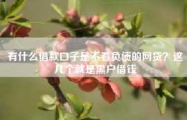 有什么借款口子是不看负债的网贷？这几个就是黑户借钱
