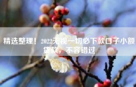 精选整理！2022无视一切必下款口子小额贷款，不容错过