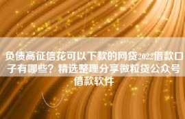 负债高征信花可以下款的网贷2022借款口子有哪些？精选整理分享微粒贷公众号借款软件